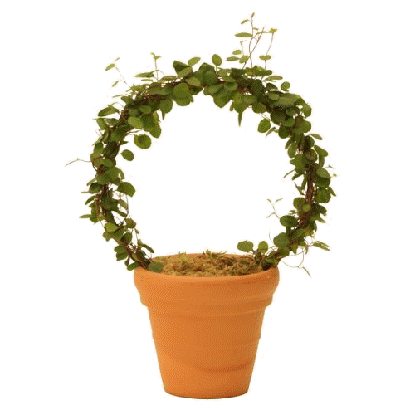 Angel Vine Topiary Ring