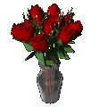 "How to Grow Beautiful Roses"