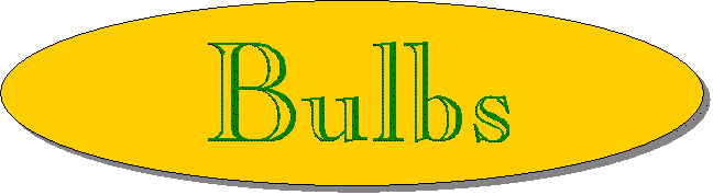 Bulbs