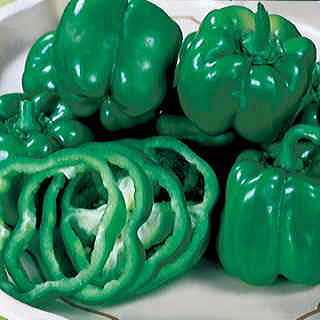Pepper 'California Wonder'