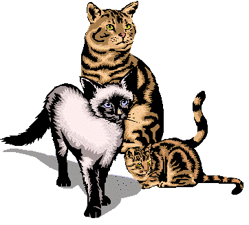Cats