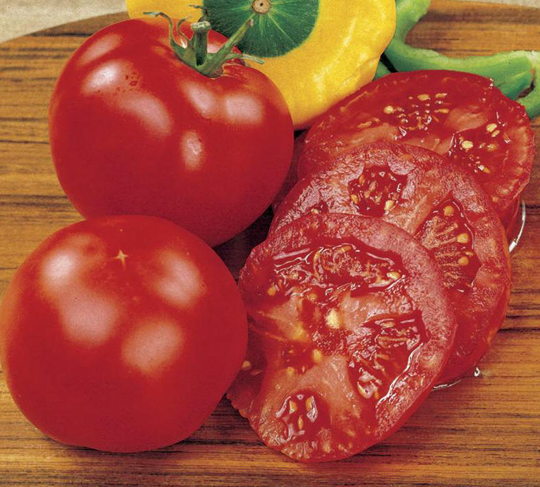 Tomato 'Early Girl'