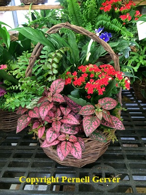 English Country Garden
