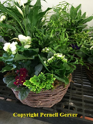 English Country Garden