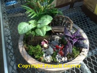 Fairy Garden
