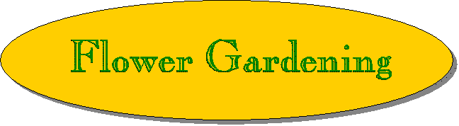 Flower Gardening