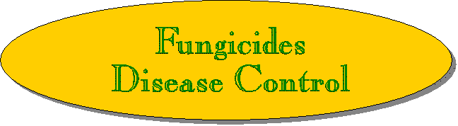 Fungicides/Disease Control