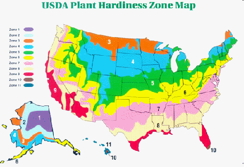 USDA hardiness zone map