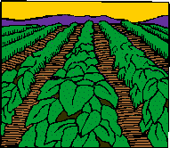 "Organic Gardening Fundamentals"