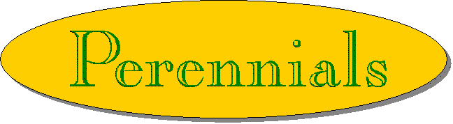 Perennials