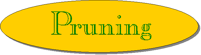 Pruning