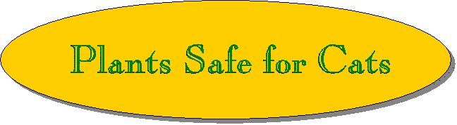 Plants Safe For Cats