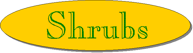 Shrubs