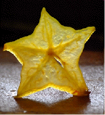 Star Fruit (Averrhoa carambola 'Sri Kembangan')