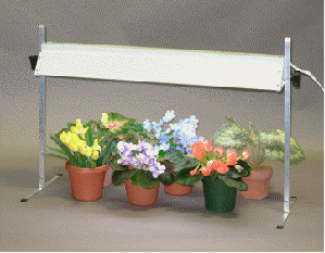 Table Top Grow Light